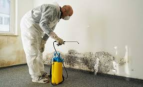 Why You Should Choose Our Mold Remediation Services in Boiling Spring Lakes, NC